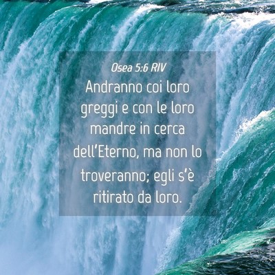 Picture 04 - Osea 5:6 RIV - Andranno coi loro greggi e con le loro mandre in - Bible Verse Picture