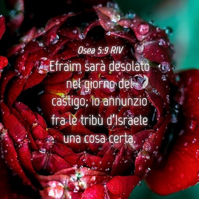 Picture 04 - Osea 5:9 RIV - Efraim sarà desolato nel giorno del castigo; io - Bible Verse Picture