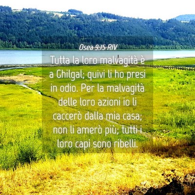 Picture 04 - Osea 9:15 RIV - Tutta la loro malvagità è a Ghilgal; quivi li - Bible Verse Picture
