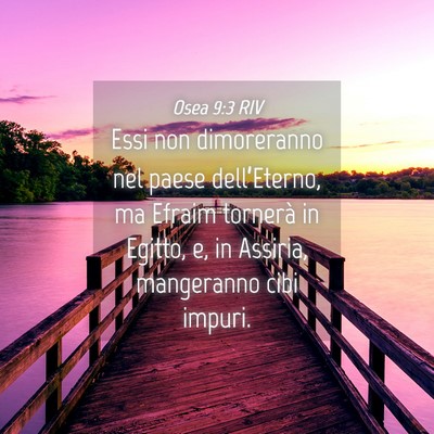 Picture 04 - Osea 9:3 RIV - Essi non dimoreranno nel paese dell’Eterno, ma - Bible Verse Picture