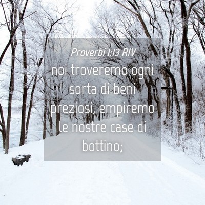 Picture 04 - Proverbi 1:13 RIV - noi troveremo ogni sorta di beni preziosi, - Bible Verse Picture