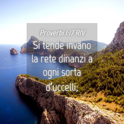 Picture 04 - Proverbi 1:17 RIV - Si tende invano la rete dinanzi a ogni sorta - Bible Verse Picture