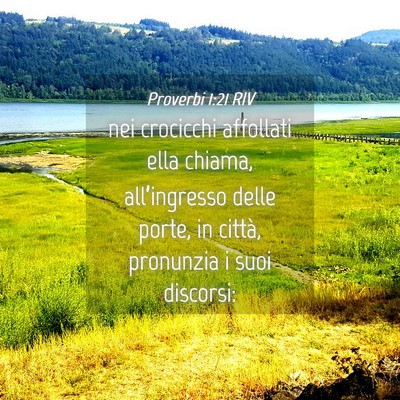 Picture 04 - Proverbi 1:21 RIV - nei crocicchi affollati ella chiama, - Bible Verse Picture
