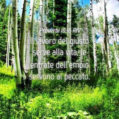 Picture 04 - Proverbi 10:16 RIV - Il lavoro del giusto serve alla vita, le entrate - Bible Verse Picture