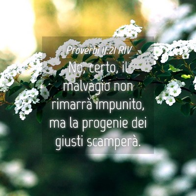 Picture 04 - Proverbi 11:21 RIV - No, certo, il malvagio non rimarrà impunito, ma - Bible Verse Picture