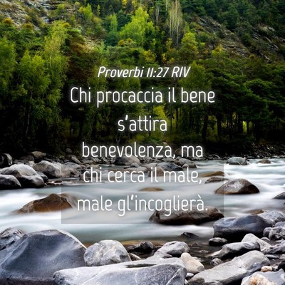 Picture 04 - Proverbi 11:27 RIV - Chi procaccia il bene s’attira benevolenza, ma - Bible Verse Picture