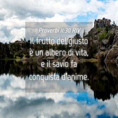 Picture 04 - Proverbi 11:30 RIV - Il frutto del giusto è un albero di vita, e il - Bible Verse Picture