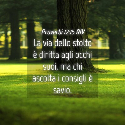 Picture 04 - Proverbi 12:15 RIV - La via dello stolto è diritta agli occhi suoi, - Bible Verse Picture