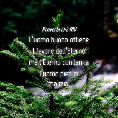 Picture 04 - Proverbi 12:2 RIV - L’uomo buono ottiene il favore dell’Eterno, - Bible Verse Picture