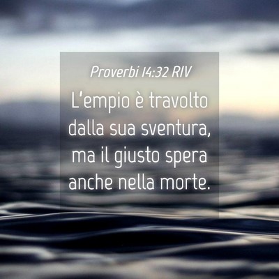 Picture 04 - Proverbi 14:32 RIV - L’empio è travolto dalla sua sventura, ma il - Bible Verse Picture
