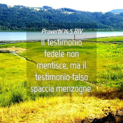 Picture 04 - Proverbi 14:5 RIV - Il testimonio fedele non mentisce, ma il - Bible Verse Picture