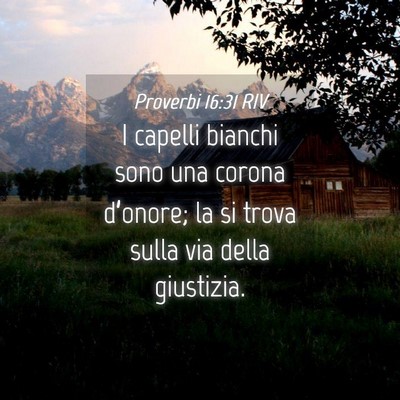 Picture 04 - Proverbi 16:31 RIV - I capelli bianchi sono una corona d’onore; la - Bible Verse Picture