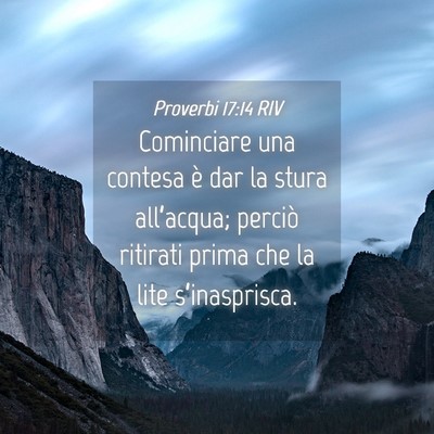 Picture 04 - Proverbi 17:14 RIV - Cominciare una contesa è dar la stura - Bible Verse Picture