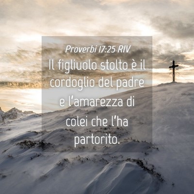 Picture 04 - Proverbi 17:25 RIV - Il figliuolo stolto è il cordoglio del padre e - Bible Verse Picture