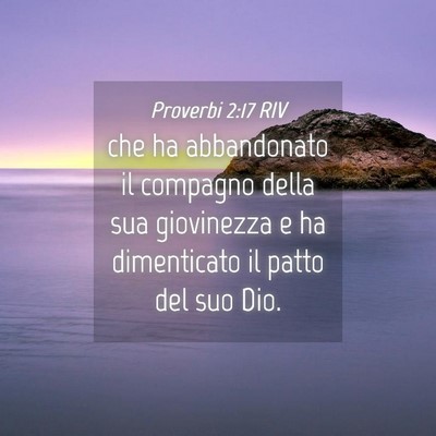 Picture 04 - Proverbi 2:17 RIV - che ha abbandonato il compagno della sua - Bible Verse Picture