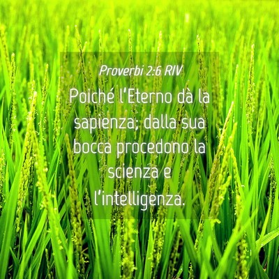 Picture 04 - Proverbi 2:6 RIV - Poiché l’Eterno dà la sapienza; dalla sua - Bible Verse Picture