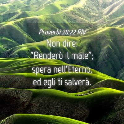Picture 04 - Proverbi 20:22 RIV - Non dire: “Renderò il male”; spera - Bible Verse Picture