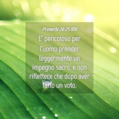 Picture 04 - Proverbi 20:25 RIV - E’ pericoloso per l’uomo prender leggermente - Bible Verse Picture
