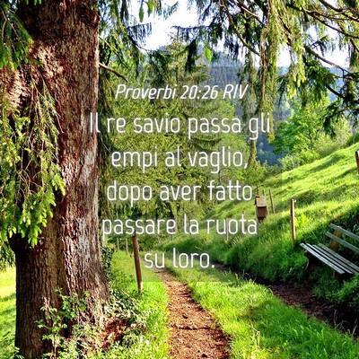 Picture 04 - Proverbi 20:26 RIV - Il re savio passa gli empi al vaglio, dopo aver - Bible Verse Picture