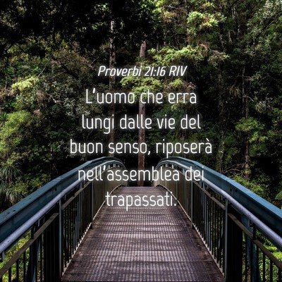 Picture 04 - Proverbi 21:16 RIV - L’uomo che erra lungi dalle vie del buon senso, - Bible Verse Picture