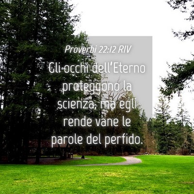 Picture 04 - Proverbi 22:12 RIV - Gli occhi dell’Eterno proteggono la scienza, ma - Bible Verse Picture