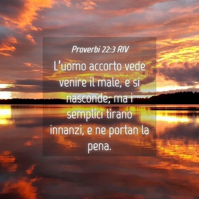 Picture 04 - Proverbi 22:3 RIV - L’uomo accorto vede venire il male, e si - Bible Verse Picture