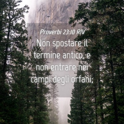 Picture 04 - Proverbi 23:10 RIV - Non spostare il termine antico, e non entrare nei - Bible Verse Picture