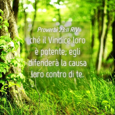 Picture 04 - Proverbi 23:11 RIV - ché il Vindice loro è potente; egli difenderà - Bible Verse Picture