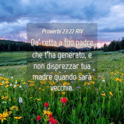 Picture 04 - Proverbi 23:22 RIV - Da’ retta a tuo padre che t’ha generato, e - Bible Verse Picture