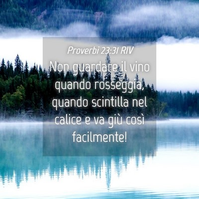 Picture 04 - Proverbi 23:31 RIV - Non guardare il vino quando rosseggia, quando - Bible Verse Picture