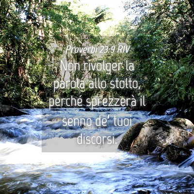 Picture 04 - Proverbi 23:9 RIV - Non rivolger la parola allo stolto, perché - Bible Verse Picture