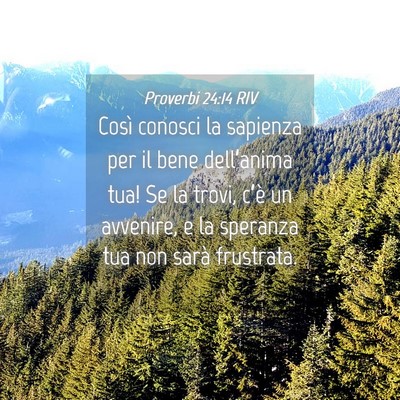 Picture 04 - Proverbi 24:14 RIV - Così conosci la sapienza per il bene - Bible Verse Picture