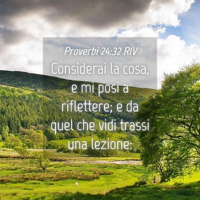 Picture 04 - Proverbi 24:32 RIV - Considerai la cosa, e mi posi a riflettere; e da - Bible Verse Picture