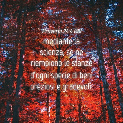 Picture 04 - Proverbi 24:4 RIV - mediante la scienza, se ne riempiono le stanze - Bible Verse Picture