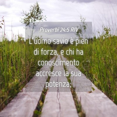 Picture 04 - Proverbi 24:5 RIV - L’uomo savio è pien di forza, e chi ha - Bible Verse Picture