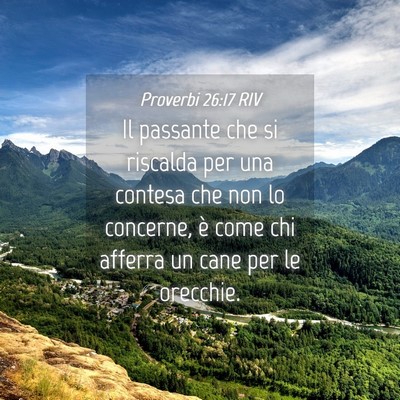 Picture 04 - Proverbi 26:17 RIV - Il passante che si riscalda per una contesa che - Bible Verse Picture