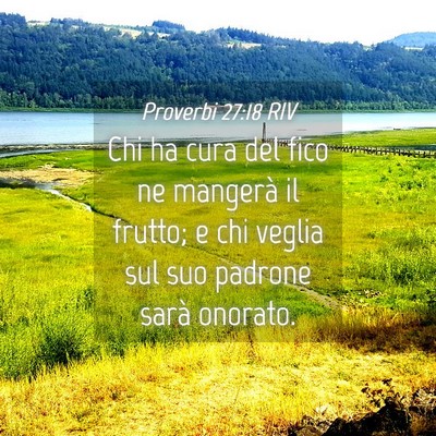 Picture 04 - Proverbi 27:18 RIV - Chi ha cura del fico ne mangerà il frutto; e chi - Bible Verse Picture
