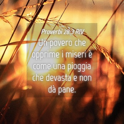 Picture 04 - Proverbi 28:3 RIV - Un povero che opprime i miseri è come una - Bible Verse Picture