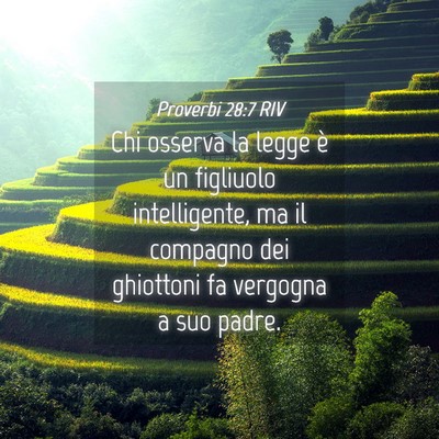 Picture 04 - Proverbi 28:7 RIV - Chi osserva la legge è un figliuolo - Bible Verse Picture