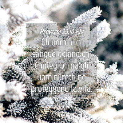 Picture 04 - Proverbi 29:10 RIV - Gli uomini di sangue odiano chi è integro, ma - Bible Verse Picture