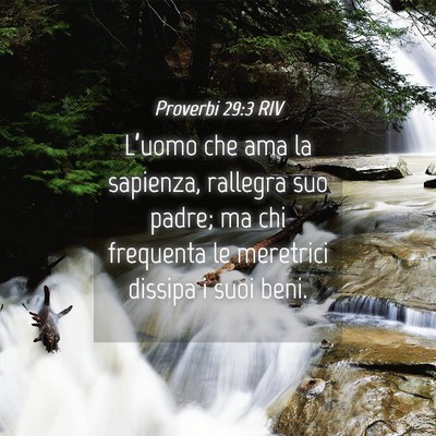 Picture 04 - Proverbi 29:3 RIV - L’uomo che ama la sapienza, rallegra suo padre; - Bible Verse Picture