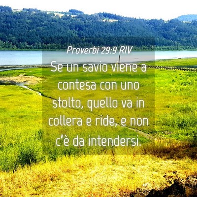 Picture 04 - Proverbi 29:9 RIV - Se un savio viene a contesa con uno stolto, - Bible Verse Picture