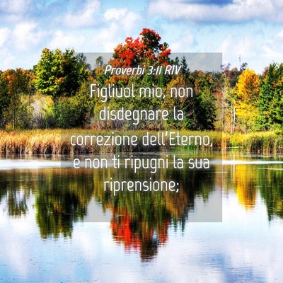 Picture 04 - Proverbi 3:11 RIV - Figliuol mio, non disdegnare la correzione - Bible Verse Picture