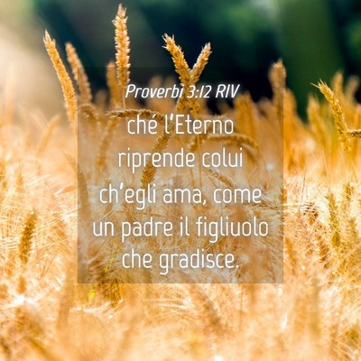 Picture 04 - Proverbi 3:12 RIV - ché l’Eterno riprende colui ch’egli ama, - Bible Verse Picture