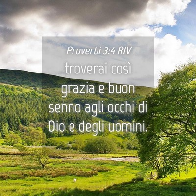 Picture 04 - Proverbi 3:4 RIV - troverai così grazia e buon senno agli occhi di - Bible Verse Picture