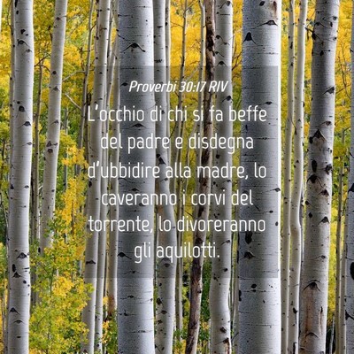 Picture 04 - Proverbi 30:17 RIV - L’occhio di chi si fa beffe del padre e - Bible Verse Picture