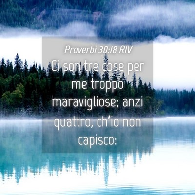 Picture 04 - Proverbi 30:18 RIV - Ci son tre cose per me troppo maravigliose; anzi - Bible Verse Picture