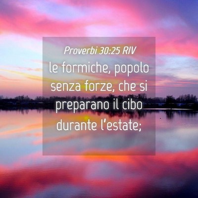 Picture 04 - Proverbi 30:25 RIV - le formiche, popolo senza forze, che si preparano - Bible Verse Picture