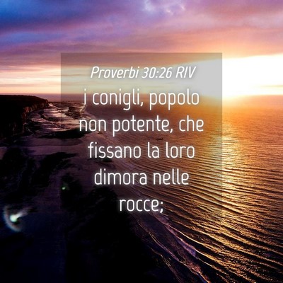 Picture 04 - Proverbi 30:26 RIV - i conigli, popolo non potente, che fissano la - Bible Verse Picture