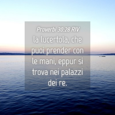 Picture 04 - Proverbi 30:28 RIV - la lucertola, che puoi prender con le mani, eppur - Bible Verse Picture